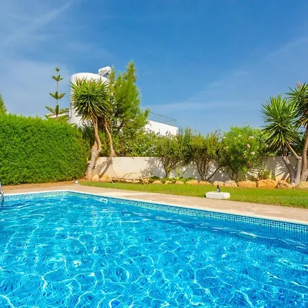 Chrysanthemum Villa Paphos
