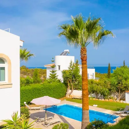 Chrysanthemum Villa *