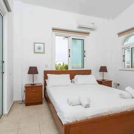 Chrysanthemum Villa Paphos