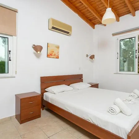 Villa Chrysanthemum *