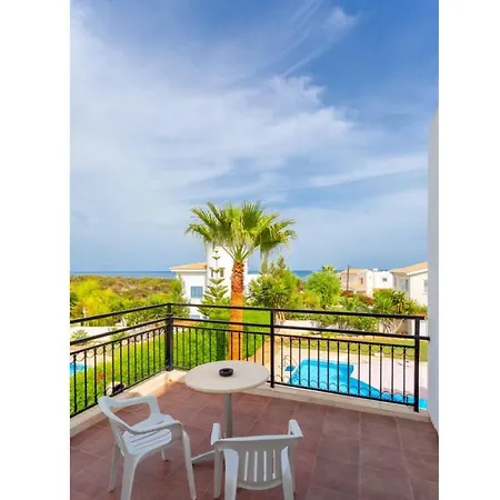 Chrysanthemum Villa